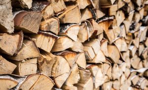 Дрова Солигорск купить